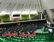 بررسی ﻗﺎﻧﻮن ﻣﻤﻨﻮﻋﯿﺖ ﺗﺼﺪی ﺑﯿﺶ از ﯾﮏ ﺷﻐﻞ