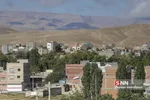 تخریب باغات