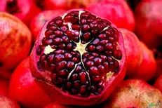 با این مواد غذایی در فصل زمستان لاغر شوید