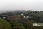 مه 