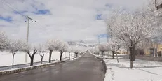 مسیر دسترسی روستا‌های اندیکا مسدود است/نجات ۱۲ خانوار در تاراز