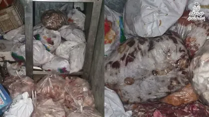 کشف ۶۰۰ کیلوگرم گوشت فاسد در یکی از دانشگاه&zwnj;های خراسان جنوبی