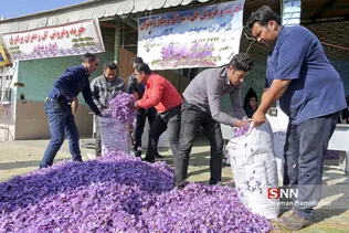 زعفران