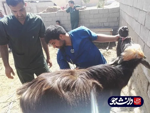فعالیت جهادگران بسیج دانشجویی دانشگاه آزاد شوشتر در مناطق سیل زده شعیبیه