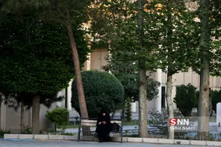 ام داوود