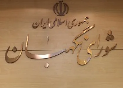 طحان نظیف: شورای نگهبان دستگاه اطلاعاتی مستقلی ندارد / مبنای نظر شورا استعلامات واصله است