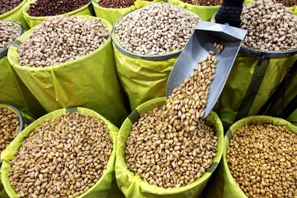 نرخ ارز غیرواقعی باعث شده صادرکنندگان رغبتی به صادرات نداشته باشند