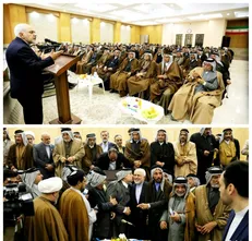 دیدار جمعی از سران قبایل عراق با ظریف
