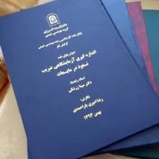 ۶۰ درصد پایان‌نامه‌ها و رساله‌های وزارت علوم ثبت می‌شود