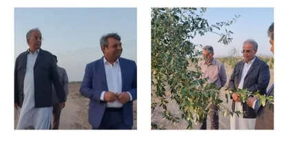 زاهدان در مسیر شکل&zwnj;دهی بزرگ&zwnj;ترین کمربند سبز شرق کشور