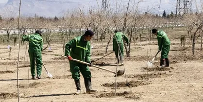 آیین کاشت ۲ هزار اصله نهال درمجموعه گردشگری بوستان کوهسار منطقه ۵ پایتخت