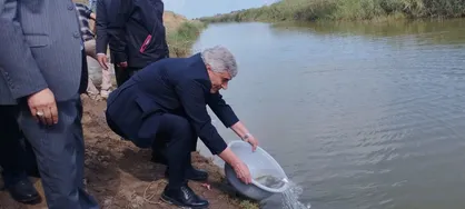 شیلات گلستان ۱۰۰ میلیون بچه&zwnj;&zwnj;ماهی در خزر رهاسازی می&zwnj;کند