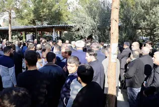 آلبوم عکس