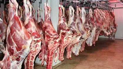 رایگانی: گوشت گوساله را با سه برابر قیمت واقعی به دست مردم می&zwnj;رسانند