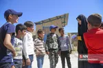 جهادی