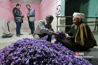 زعفران