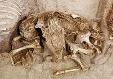 کشف اسکلت کودکان سه هزار ساله در سگزآباد
