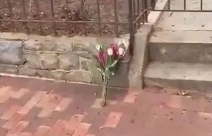 کنایه خبرنگار آمریکایی به وداع با سناتور جنگ&zwnj;طلب فقط با یک گل!