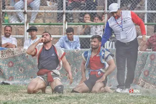 نی