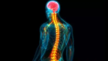 ترمیم سریع&zwnj;تر آسیب نخاعی با استفاده از یک داربست نانویی