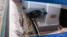 ریشه زنی فرش