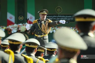 دبب