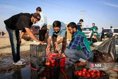 جزئیات فعالیت ستاد اربعین بسیج دانشجویی خوزستان در مناطق مرزی / برپایی ۸ موکب در شلمچه و چذابه