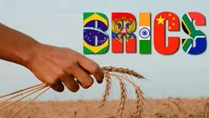 کشاورزی آمریکا اولین تلفات جنگ با بریکس