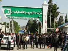 چوکا در بن‌بست بلاتکلیفی / تعطیلی خط تولید ۹۰ هزار تنی چوب و کاغذ مازندران