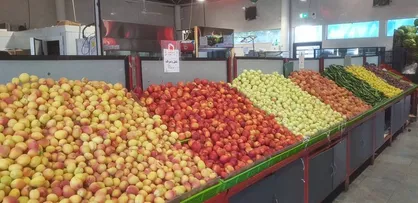 میوه جات ۳۸ درصد ارزان&zwnj;تر از سطح شهر در میادین و بازار&zwnj;های میوه و تره بار عرضه شد