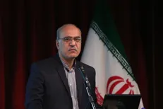 «دیاسپورا‌ها» قادر به ساخت شبکه‌هایی از فعالیت‌های سیاسی و اقتصادی در بین مرز‌های کشور هستند