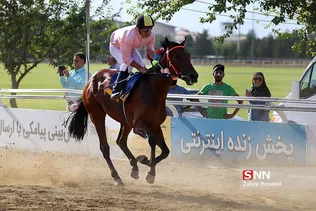 اسب