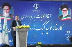 اشتغال‌زایی صنعت اتمی برای ۲ هزار نفر تا پایان سال