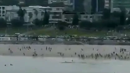 ۱۰ کشته و ۱۲ زخمی در جشن خونین حنوکای یهودی در استرالیا