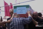 دبب