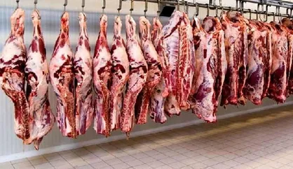 قیمت گوشت قرمز روند کاهشی به خود گرفت