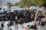 دبب