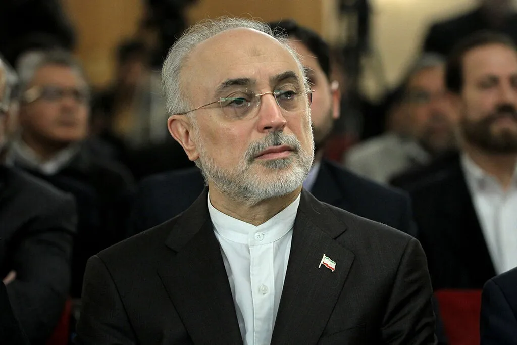 صالحی: بدون مسئله هسته‌ای، بهانه‌های دیگری مثل دموکراسی و حقوق بشر برای تجاوز مطرح می‌شد + فیلم