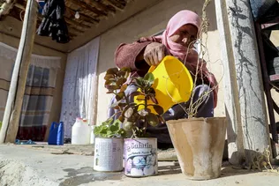 آب رسانی سیار