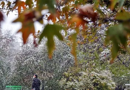 افزایش دما در نوار شمالی کشور از فردا چهارشنبه