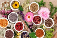 تدوین سند گیاهان دارویی شناخت عمومی از این صنعت را توسعه می‌دهد