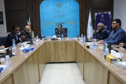 ضرورت تشکیل دبیرخانه پیشگیری و کنترل پدیده خودکشی در استان کرمان