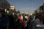 دبب
