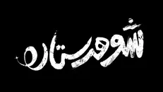 «شوهر ستاره» با دو بازی متفاوت از بهداد و نادری