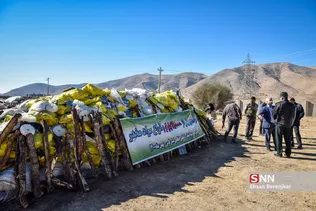 امحاء ۱۸ تن مواد مخدر در شیراز