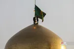 صضثضصثصض