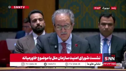 نماینده پاکستان در شورای امنیت: پاکستان از راه&zwnj;حل&zwnj;های دیپلماتیک و سیاسی برای حل بحران یمن حمایت می&zwnj;کند