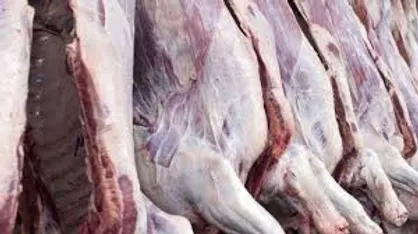 قیمت گوشت گوسفندی ۱۰۴ هزار تومان است