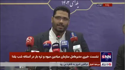 بختیاری زاده: انار درجه یک خارج از بازار میوه و تره&zwnj;بار تا چندین برابر قیمت عرضه می&zwnj;شود