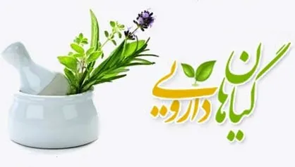 آخرین رقم صادرات گیاهان دارویی